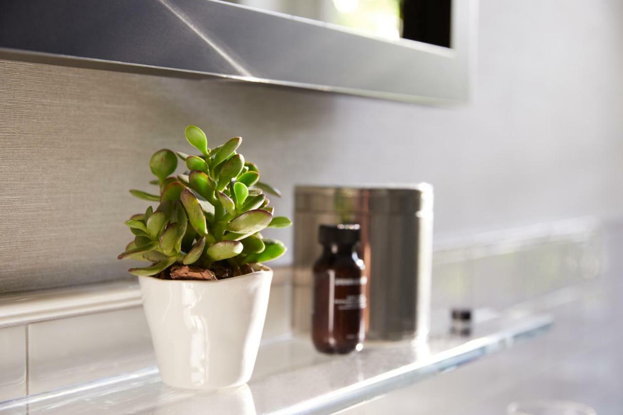 The Whitney Hotel Бостон Екстер'єр фото A small plant in a kitchen